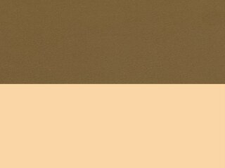 Coyote tan / Desert