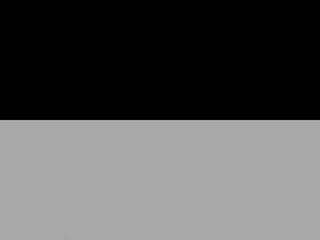 Zwart / Grijs