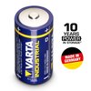 Varta industrial 1.5V LR20 Mono D battery