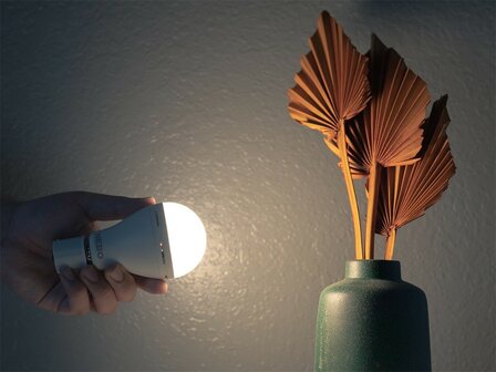 Nebo Blackout Backup-Notfalllampe E27, wiederaufladbar, 2000 mAh Li-Ion, 3000K