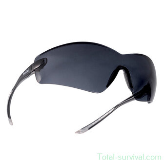 Boll&eacute; Cobra glasses smoke platinum, COBPSF
