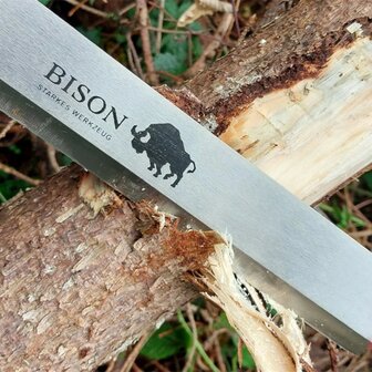 Bison Haalmes Recht