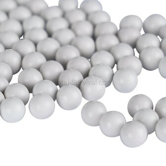 Xtreme Precision 0,30g BBs 6mm wit, fles 2800 BB's