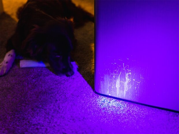 Nebo Torchy UV LED-Taschenlampe, IPX4