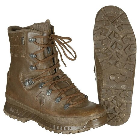 Bottes de combat Hommes Haix, Cold Wet Weather, doublure Goretex, marron