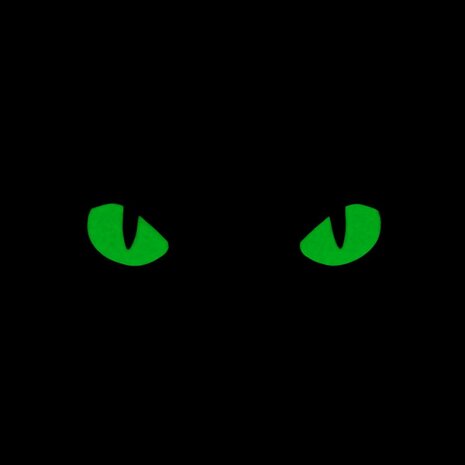 M-Tac velcro patch Cat Eyes, 25 x 80 mm, Noir/Vert