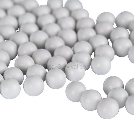 Xtreme Precision 0,30g BBs 6mm wit, fles 2800 BB's