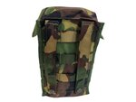 Avon Armeefeldflasche 1QT mit Edelstahlbecher und Molle Tasche, DPM camo