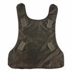 Wahler Bundeswehr ballistische body armour insert, rugdeel, legergroen
