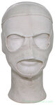 Masque facial polaire britannique, Arctic MK2, blanc