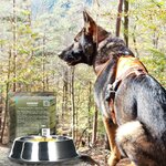 Convar Feldküche Food-4Dox Notfutter für Hunde