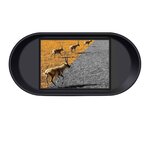 Lenco dispositif de vision nocturne avec fonction d'enregistrement et zoom numérique 8x