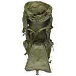 Deuter Alpine Kampfrucksack mit verstellbarem Rückenteil, 55 l, oliv grün