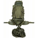 Deuter Alpine Kampfrucksack mit verstellbarem Rückenteil, 55 l, oliv grün