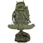Deuter Alpine Kampfrucksack mit verstellbarem Rückenteil, 55 l, oliv grün