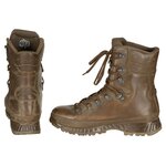Bottes de combat Hommes Haix, Cold Wet Weather, doublure Goretex, marron
