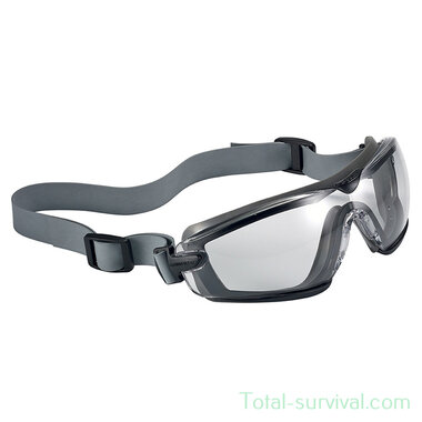 Bollé Cobra glasses clear platinum, COBTPRPSI