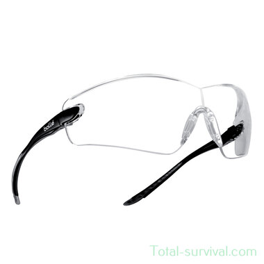 Bollé Cobra glasses clear platinum, COBPSI